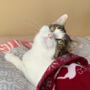 Meet your Posher, Jenny